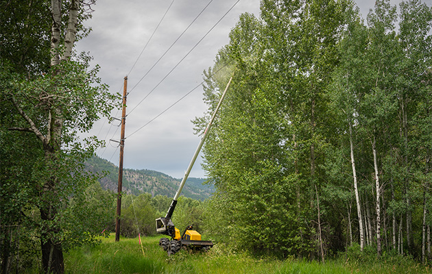 Vegetation management crew equipment clearing trees near power lines in a forested area.